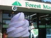 Ƃ񂳂̏RXgnEX̓eʐ^2