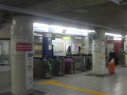 Ƃ񂳂̓gLy썑w̓eʐ^1