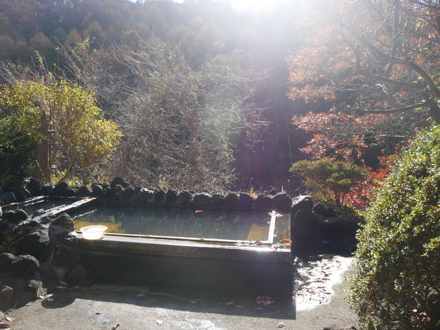 �I�V���C�͏����߂ł����A�g�t�����Ȃ�������ł��܂��B_��ȉ���i���o������j