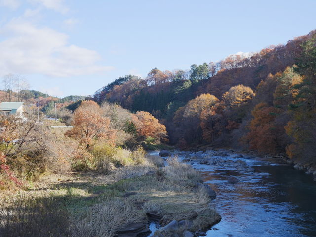 �݂苴����̌i�F�͐�i�B�����\�h��܂����B_��ȉ���i���o������j