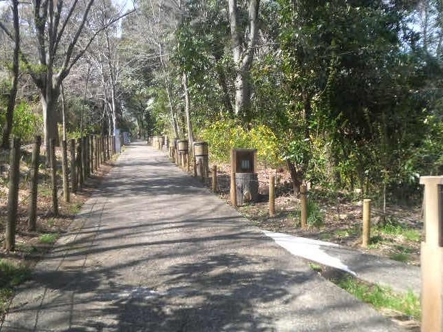 ��t���E2018�N3��20������J��_��t��