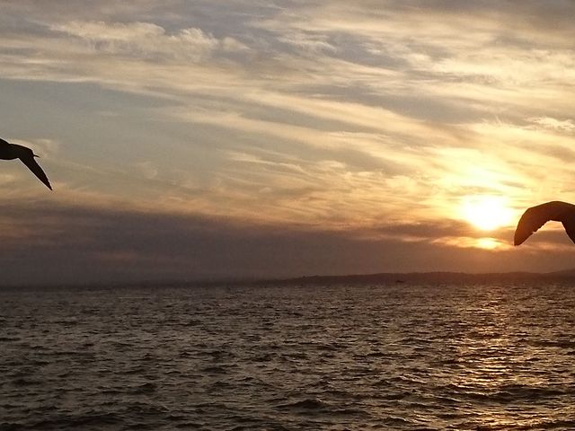 ���E�R��[�z�̂ЂƂƌ�������H�̗[�z�ł��B_���H�[���ό��N���[�Y�D�V�[�N���C��