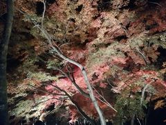 �݂����񂳂�̌��̐΂��݂������ւ̓��e�ʐ^1