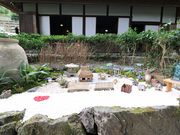 ���т䂣����̉i�J�@�~���Ƃ̓��e�ʐ^1