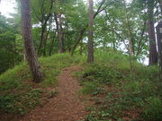 ^{剤̐RˁEPˌÕ̓eʐ^1