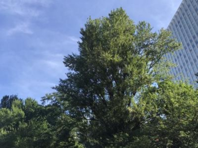 �̂�т�ł��B_�k�C�������{����(�Ԃ�񂪒���)