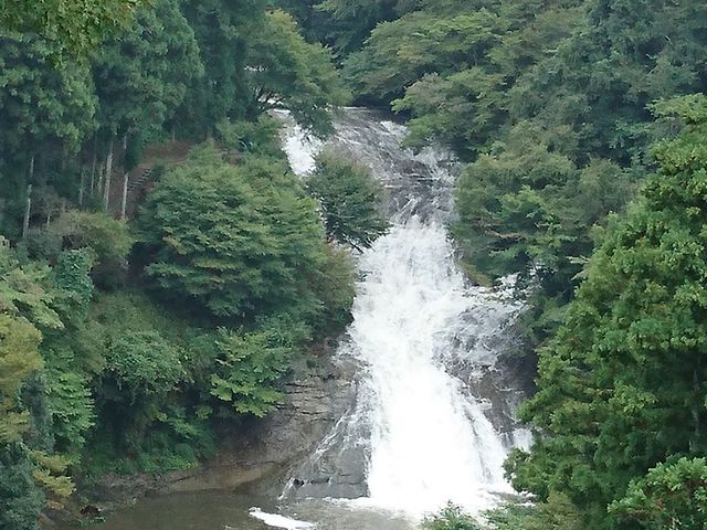 �W�]�䂩��_�{�V�k�J