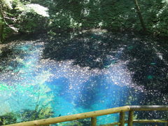 ^J񂳂̐rւ̓eʐ^1