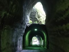 �{�V�k�J�̎ʐ^1