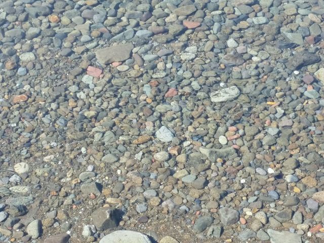 �悭�݂�Ə��������܂�_�x┌�