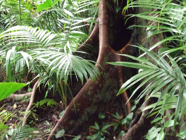 �������邱�Ƃ��o���܂��B_�Č��̃��G���}���V�Q��