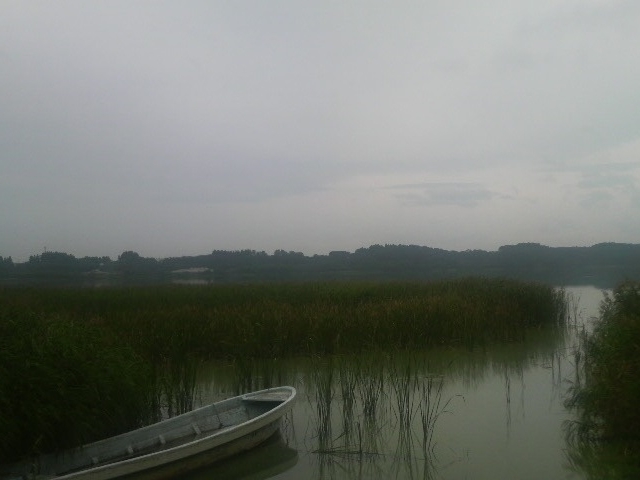 �c�ʖ؏�_�c�ʖ؏�