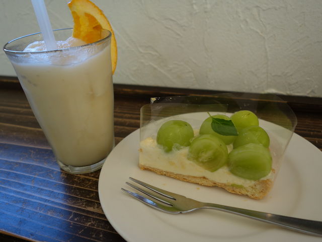 W[XVC}XJbg^g_t[cR[fBlCg X with 