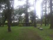 Ƃ񂳂̓lˎjՂ̓eʐ^4