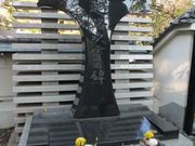 �g�����\����̑P�����̓��e�ʐ^1