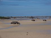 Ƃ΂΂̍ac̕l̓eʐ^1