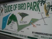 Ƃ񂳂̑˖쒹̗Xь̓eʐ^1