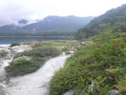 Ƃ񂳂̋R̃nNTVNiQ̓eʐ^1