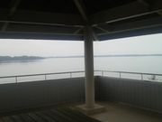 Ƃ񂳂̏쌴ΓW]̓eʐ^5