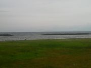 Ƃ񂳂̍lC݊C̓eʐ^1