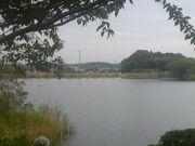 Ƃ񂳂̓{̎Ȑ_̓eʐ^4