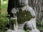 Yanwenli̖򎛂̓eʐ^10