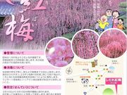 kiyohiko85jp̍Lc~тӂꂠ̓eʐ^3