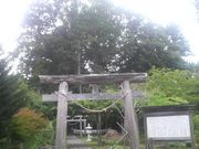 Ƃ񂳂݂̍̑傢傤̓eʐ^1