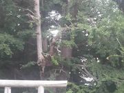 Ƃ񂳂݂̍̑傢傤̓eʐ^3