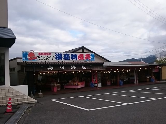 �C�Y���̒�����������܂�_���l�}�����p�[�N