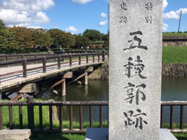 �V�C���ǂ������I_�ܗŊs����