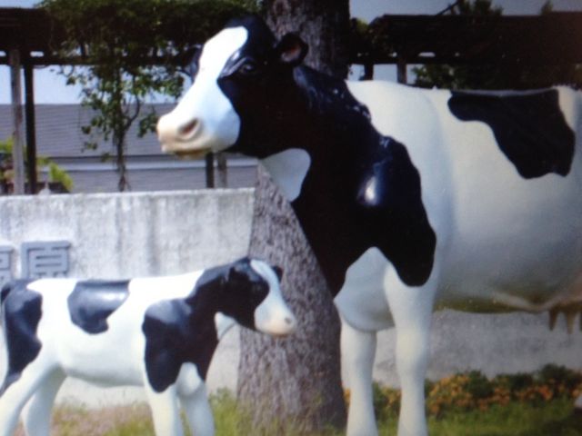 ���̉w_���̉w ���̍������΂�