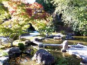 ���ڂ炳��̖������̓��e�ʐ^1