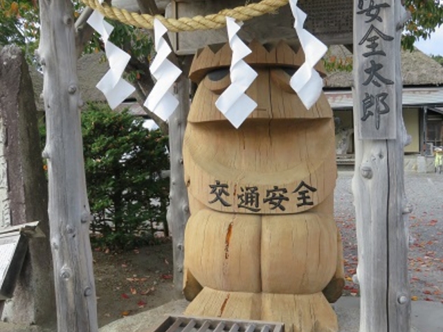 �J�b�p�l�A�A�������肭������_�`����