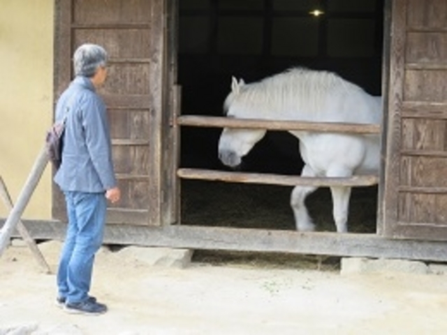 �Ȃ�Ƃɂ͔��n��_����ӂ邳�Ƒ�