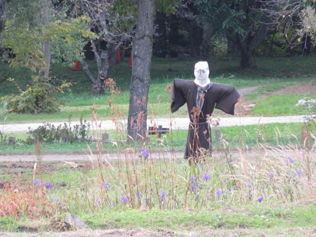 �앨�����ĎR�q_����ӂ邳�Ƒ�