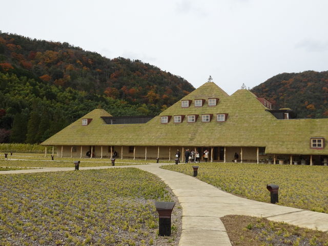 2015�N�ɂł����΂���̃��R���[�i�B�Γ��̕���ɕ����ԋߍ]�����̋u�������͕������悤�Ƃ��Ă��܂��B_���R���[�i �ߍ]����