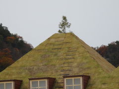 kiyohiko85jp����̂ւ̓��e�ʐ^2