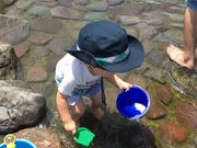 yu-k@̂܂Ԃ΂̋u̓eʐ^1