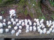 �悵����̉���@�̓��e�ʐ^6