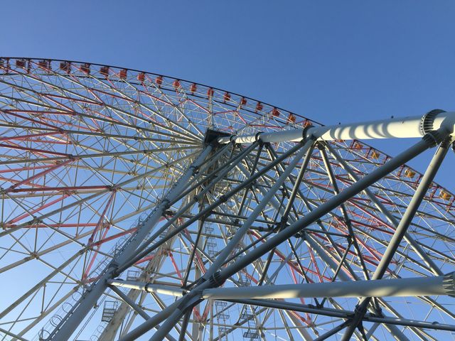 �_�C���ƉԂ̑�ϗ���_�_�C���ƉԂ̑�ϗ���