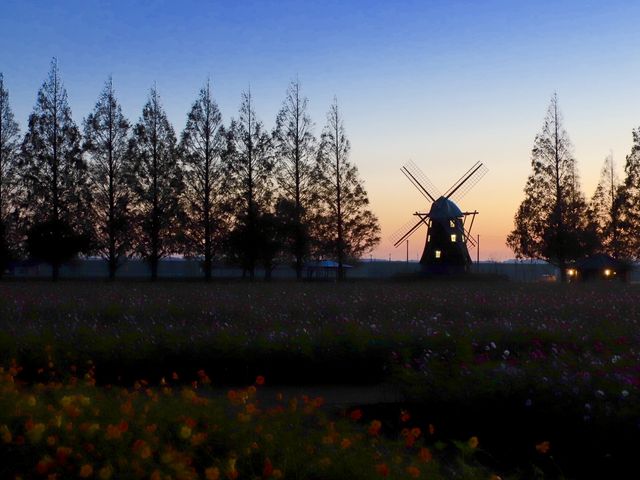 �H���̍炭���̏o�O�̌������B�肽���đ��N�����܂����B_�����ڂ̎R�_�ƌ���