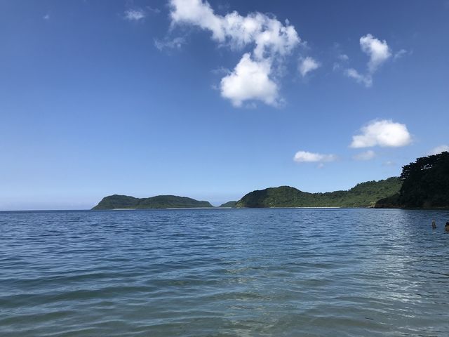 �r�[�`_�C�_�̕l