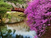 񂳂̔nˌ̂̓eʐ^4