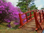 񂳂̔nˌ̂̓eʐ^5