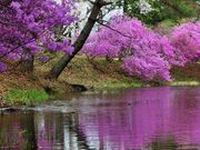 񂳂̔nˌ̂̓eʐ^6