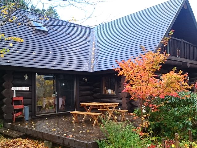 �V�C���ǂ���΂�������̂���������_�I�̎��t�@�[��