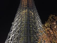 Tiquita̓\}`ւ̓eʐ^1