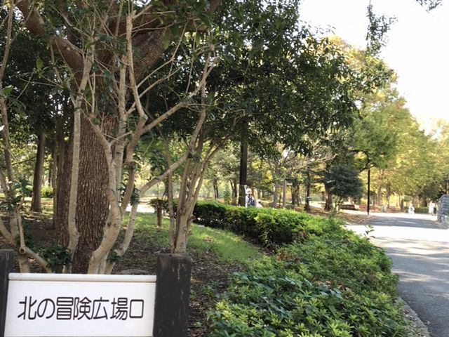 �����_�؏����