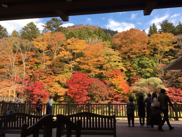 �������̌���